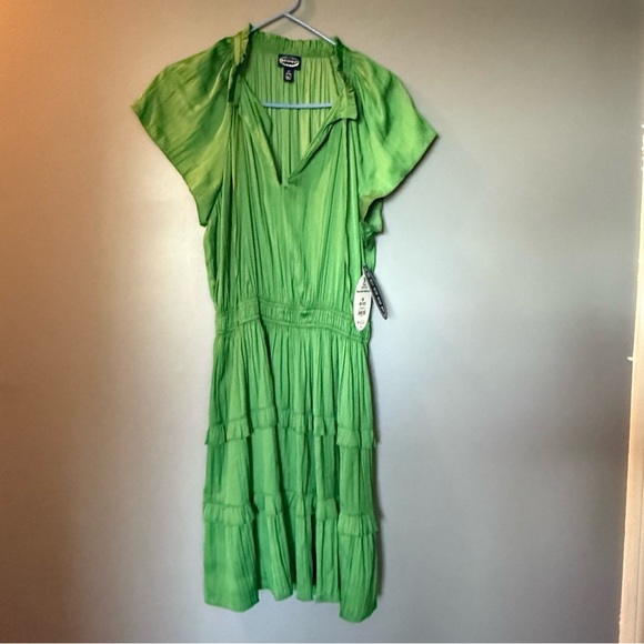 NWT Scoop Emerald Green Short Sleeve Ruffled Dress Womens Sz M - Picture 1 of 9